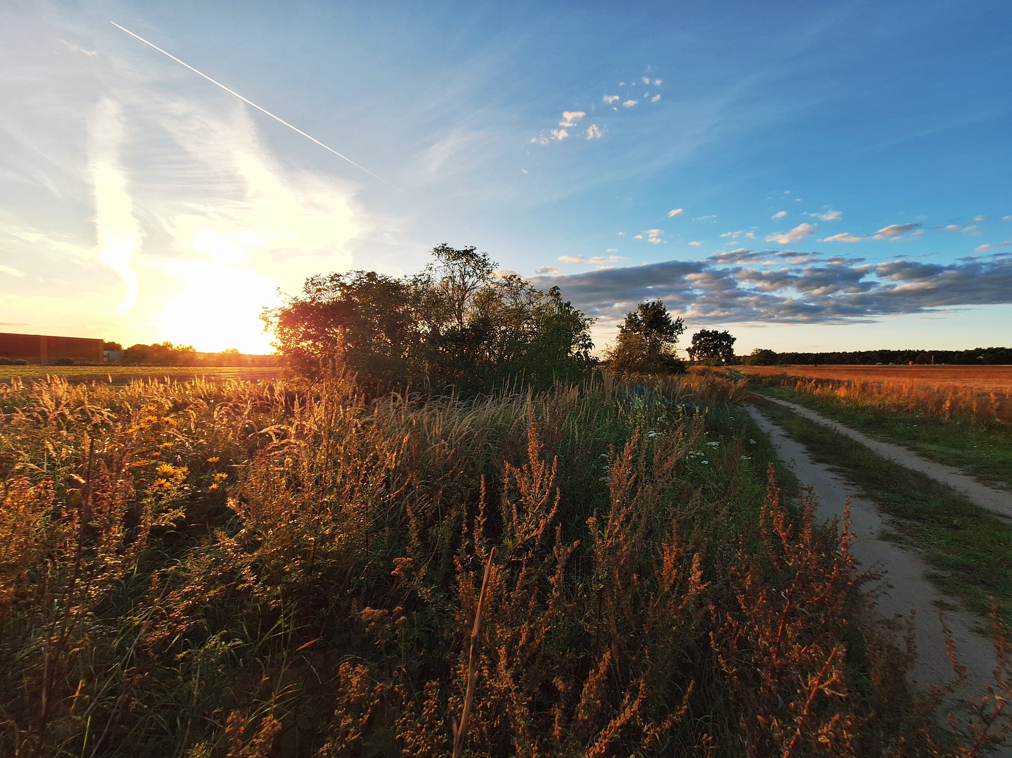 Sonnenuntergang_Riezer Berg_Isabelle Armani_Freie Rednerin (IHK)