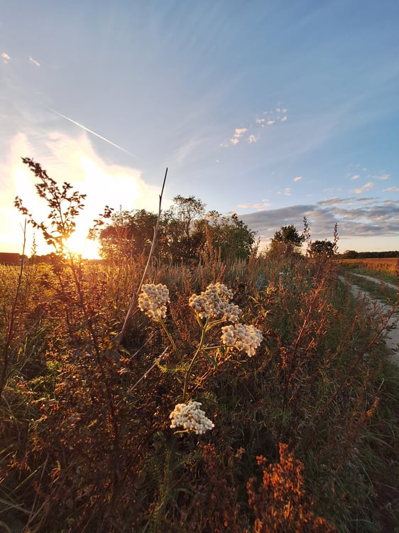 Sonnenuntergang, Riezer Berg, Isabelle Armani