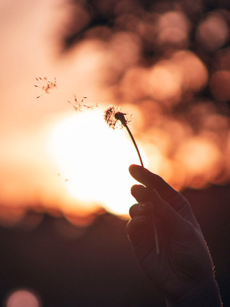 Trauerfeier_Isabelle Armani