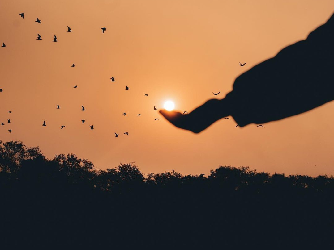 Tiertrauer_Isabelle Armani_Freie Rednerin