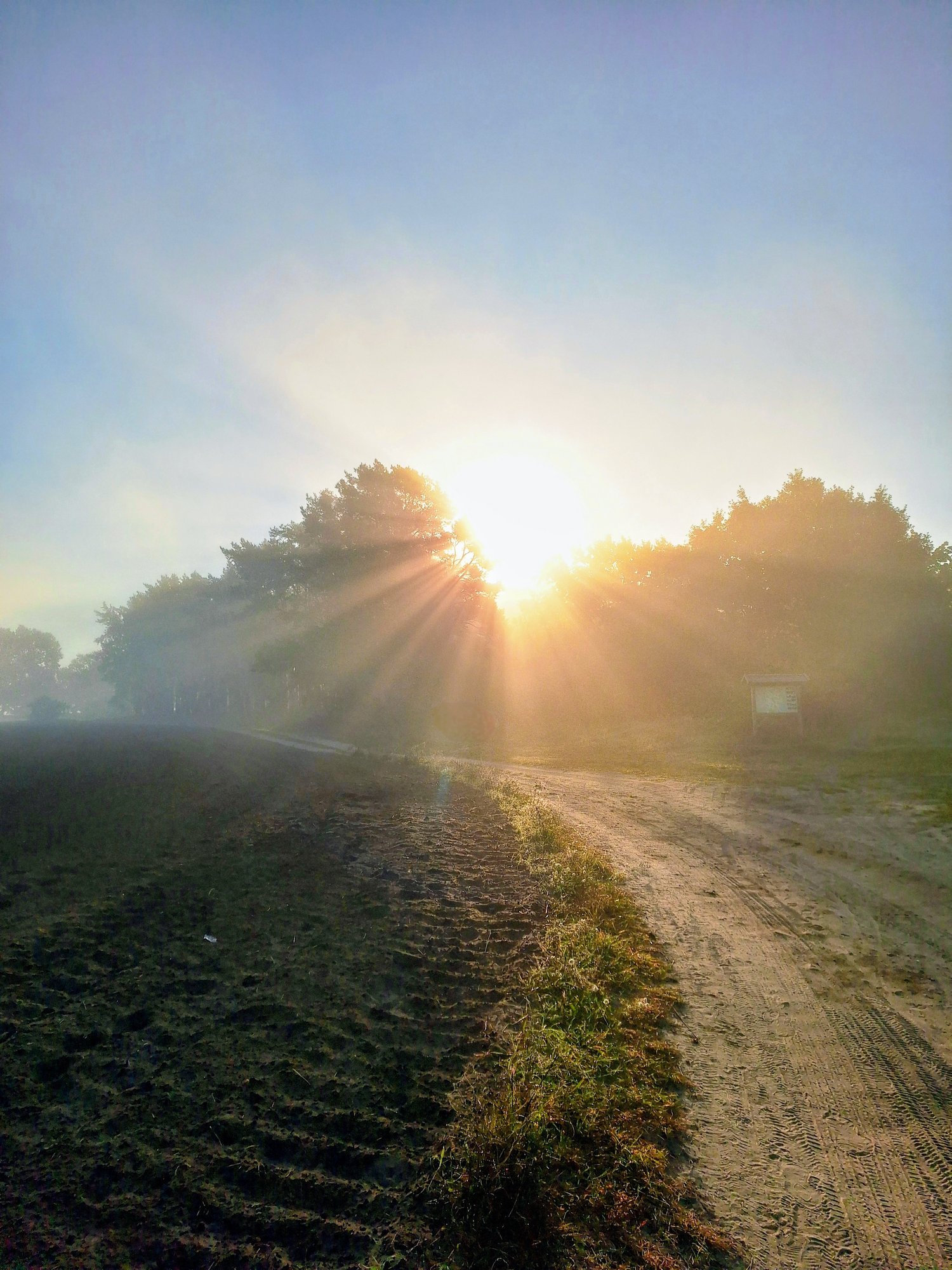 Tiertrauerfeier_Brandenburg_Isabelle Armani