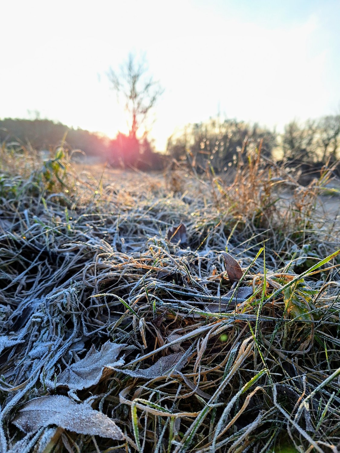 Sonnenuntergang, Neuschmerzke, Isabelle Armani