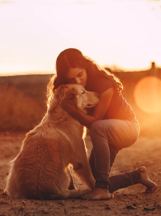 Tiertrauerfeier_Brandenburg_Isabelle Armani