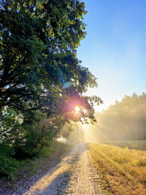 Sonnenaufgang, Brandenburg, Isabelle Armani